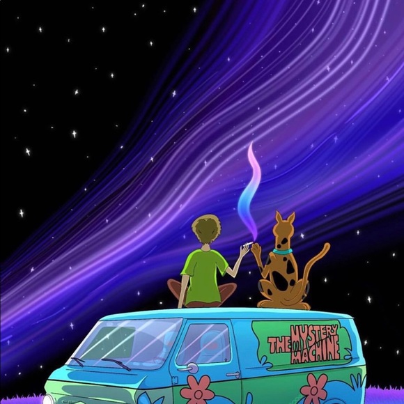 Meet your Posher, Jackson - Picture 1 of 1